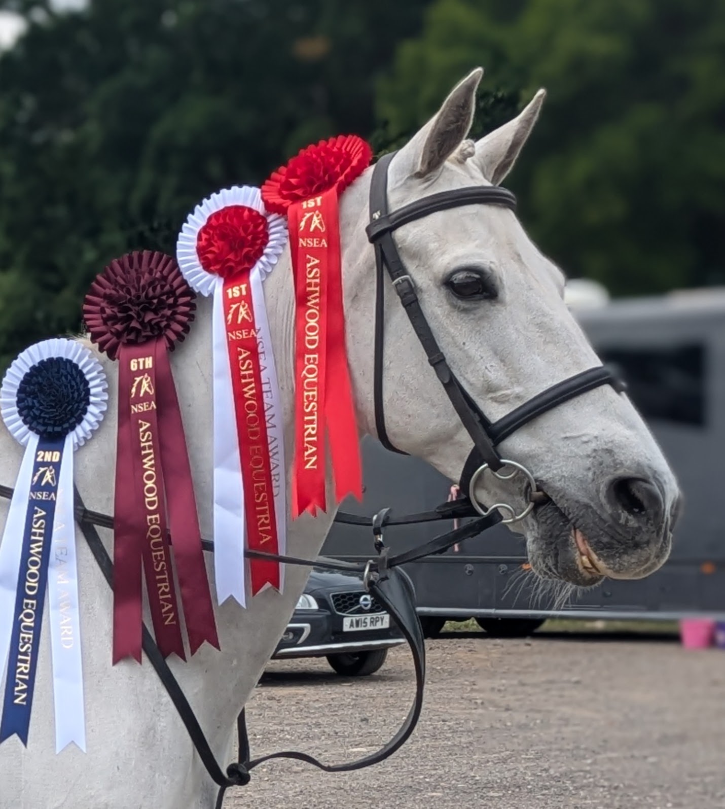 PXL_20250621_093322687.PORTRAIT