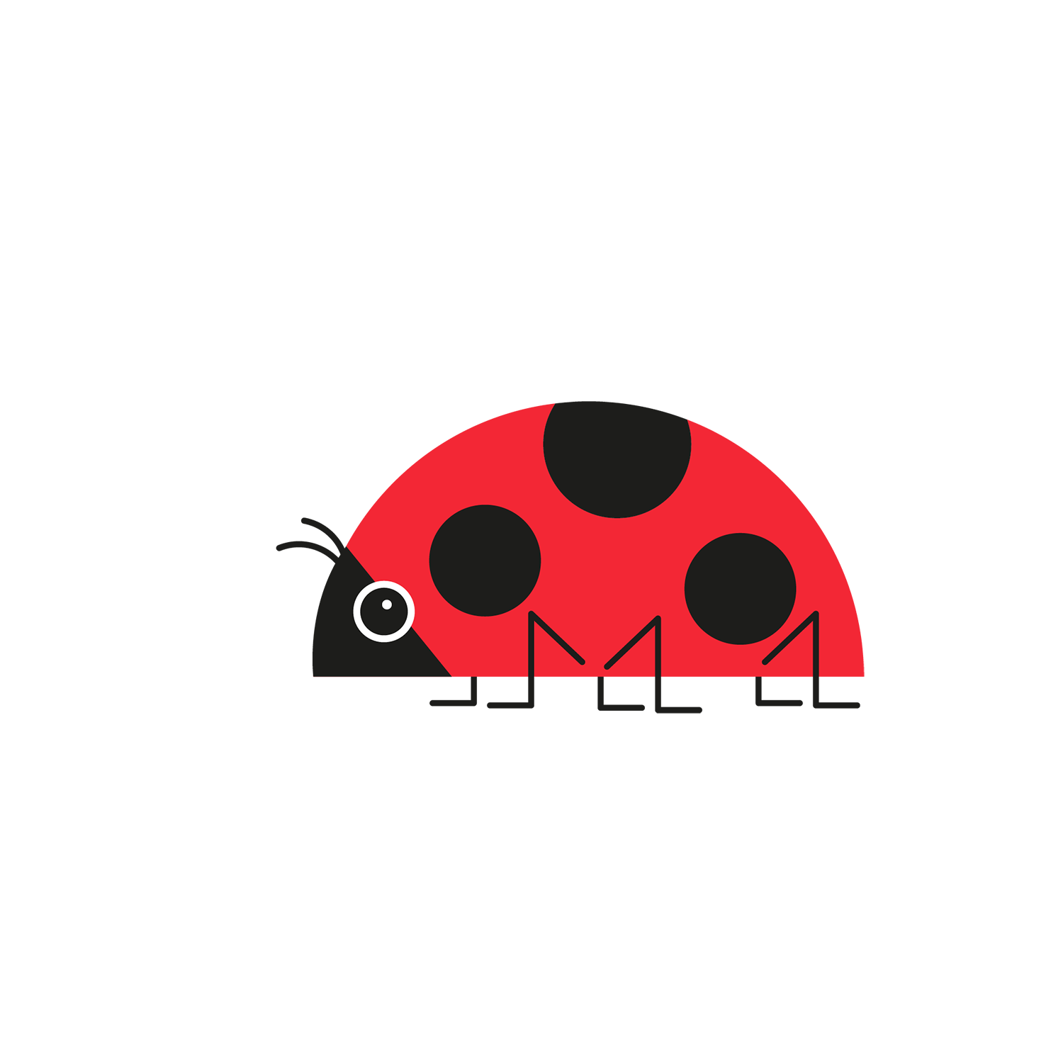 http://Ladybirds